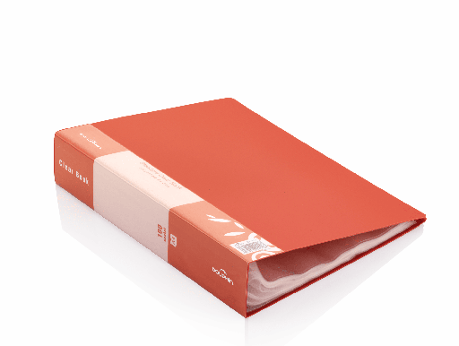 BOOST FRANCAIS LIVRET CM1