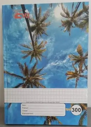 CAHIER SUCCESS 300P TP