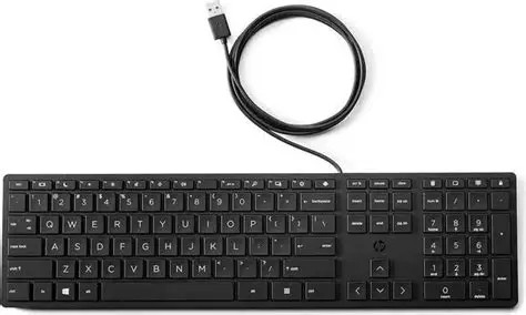 CLAVIER ORDINATEUR SIMPLE L96909-001