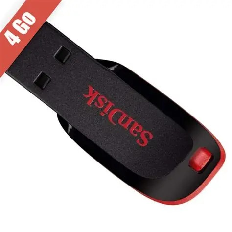 CLE USB SANDISK 4GB