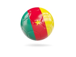 [03584] BALLON DE FOOTBALL OFFICIAL