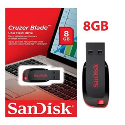 [06593] CLE USB SANDISK 8GB